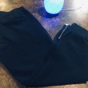 Aritzia Babaton Finch double knit pant sz L